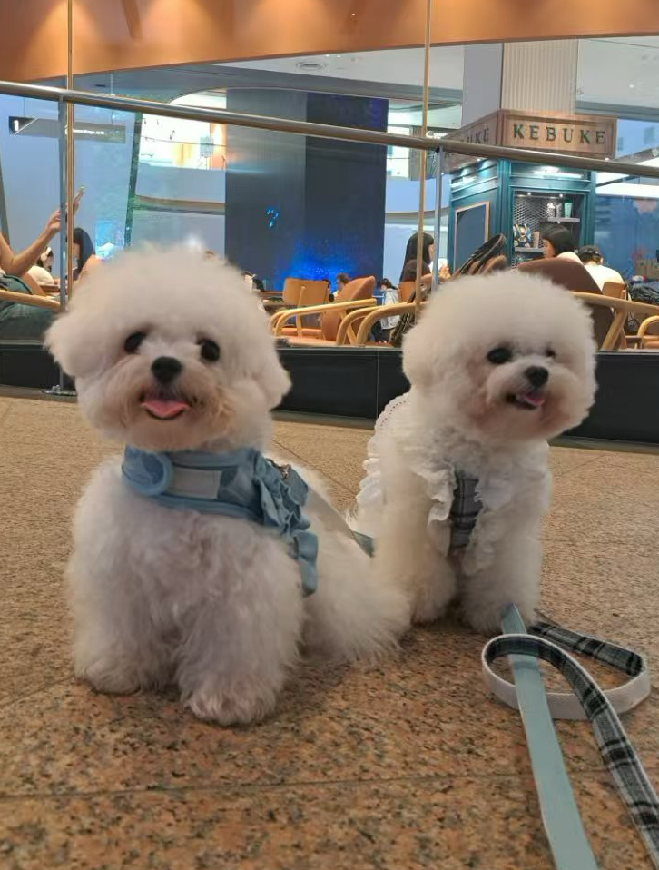 Lucky and Happy